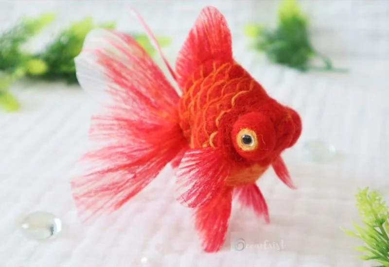 Red Moor Goldfish