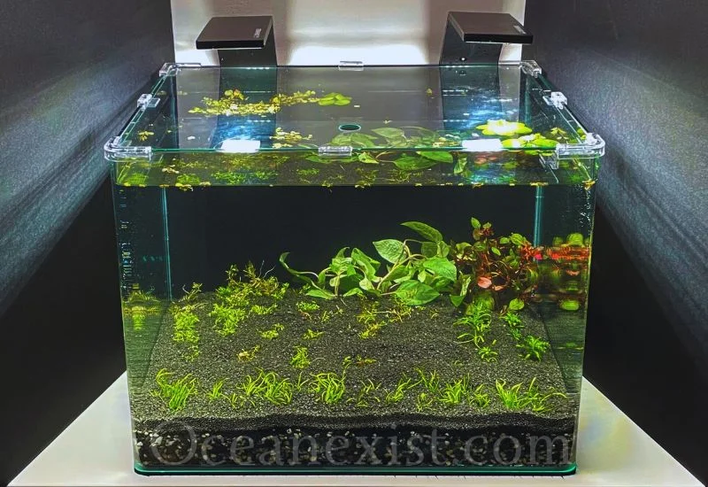 Aquarium Filtration